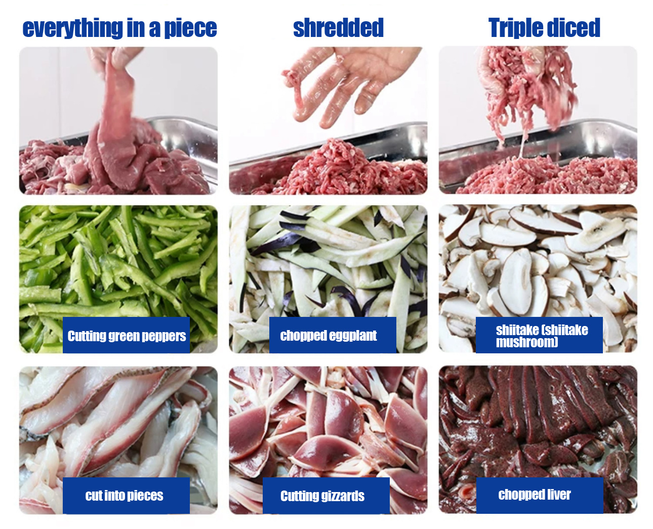 PICADORA DE CARNE DE ESCRITORIO DE ALTA POTENCIA7