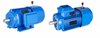  Motor asíncrono trifásico de frenado electromagnético SERIE YEJ2